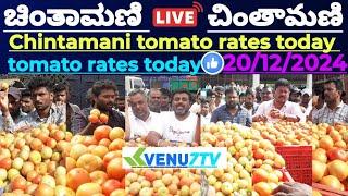 |Chintamani |today |20/12/2024 |today Tomato rates in Chintamani