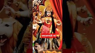 youtube short #सर्व मंगल मांगलिये शिवे सर्वार्थ साधिके शरणे त्र्यंबके गौरी नारायणी नमोस्तुते:🔱🚩🚩🚩🚩🙏🙏