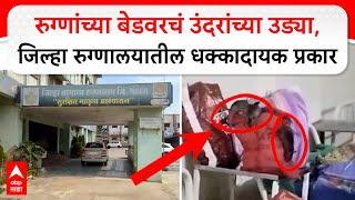 Bhandara Hospital Rat News:रुग्णांच्या बेडवरचं उंदरांच्या उड्या,जिल्हा रुग्णालयातील धक्कादायक प्रकार