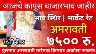 🔴अमरावती ७७०० रु.,आजचे कापूस बाजारभाव,खरे भाव|मार्केट रेट