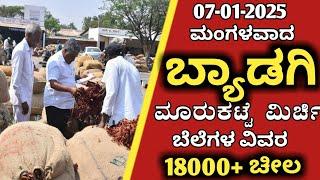 07-01-2025 Monday Byadgi Market chilli rate | Byadgi Market Mirchi Rate |Chilli Price