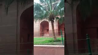 Agra fort💖💜