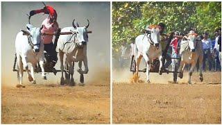 सोहेब पटेल नांदी हरदौली वाला vs शुक्ला जी सिवनी गब्बर राणा | पौनार पट प्रतियोगिता pouanar pat