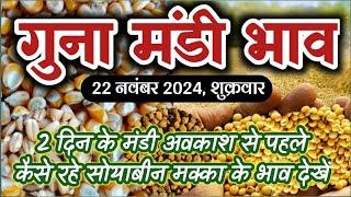 आज का गुना मंडी भाव सोयाबीन मक्का गेहूं धनिया | Guna Mandi bhav soyabean makka gehu dhaniya 22 Nov.