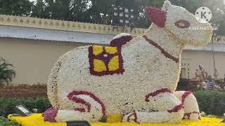 Mysore palace flower show part -2 / ಮೈಸೂರು ಅರಮನೆಯ ಫ್ಲವರ್ ಶೋ ಭಾಗ-2