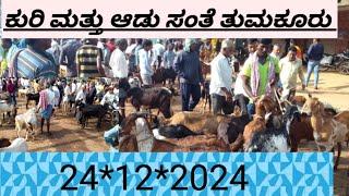 ಈ ವಾರದ ತುಮಕೂರು ಮರಿ ಸಂತೆಯ ಪಕ್ಷಿನೋಟ  agrianimals