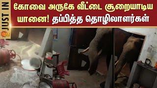 வீட்டை சூறையாடிய யானை! Wild Elephant enters residential area in Coimbatore | Migrant People