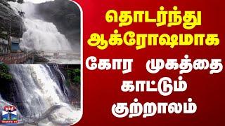 தொடர்ந்து ஆக்ரோஷமாக கோர முகத்தை காட்டும் குற்றாலம் | Tenkasi | Courtallam | Thanthitv