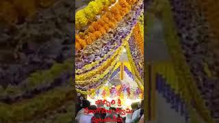 Bobbili sri venugopala swamy pulangi seva #viralvideos #bobbilimedia #bobbili rajulu