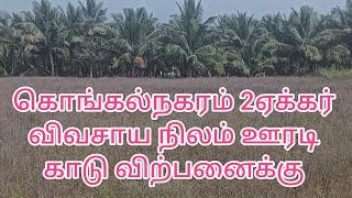 (450) பொள்ளாச்சி to தாராபுரம் மெயின் ரோடு அருகில் 2ஏக்கர் பூமி குறைந்த விலையில் விற்பனைக்கு