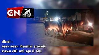 લીંબડી : અલગ-અલગ વિસ્તારોમાં ઢગલાબંધ રખડતા ઢોરો મળી રહ્યા છે જોવા