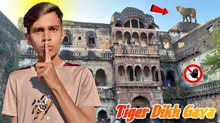 नरसिंहगढ़ किले Me Ghumte Samay Tiger Dikh Gaya!😱|| मारते मारते बचे…!