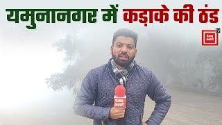 घने कोहरे की चादर में लिपटा Yamunanagar, कंपकपी बढ़ने के बाद घरों में दुबके लोग