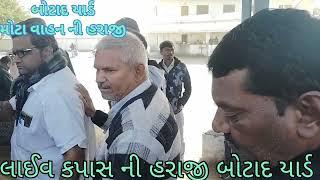 મોટા વાહન ની હરાજી Botad kapas na bhav06-01-25 l બોટાદ કપાસ ના ભાવ l information about cotton crop..