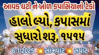 કપાસમાં તેજી  | live cotton trading price in BOTAD APMC,kapas Na bhav, JANUARY 6, 2025