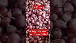 गोतमपुरा मंडी प्याज भाव 6 नवंबर 2024