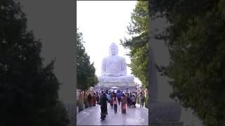 Bodh Gaya | Pavitra Sthal | Gaya , Bihar