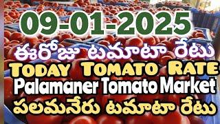 పలమనేరు 🍅🍅🍅టమాటో మార్కెట్ ధరలు 09-01-2025 ||ఈ రోజు టమోటా ధర Palamaner Market||ckgowthamvlogs