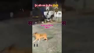 😯😭  ट्रेन और बस की टक्कर। सासाराम रोहतास बिहार #viralvideo (Social_creation7 )