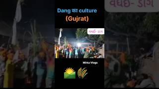 Dang का culture।Dang का culturel।Dang Gujrat। Waghai DANG।ahwa dang । traveling video।Mirka Vlogs