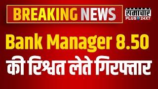 Breaking News : Bank Manager 8.50 की रिश्वत लेते गिरफ्तार | Hanumangarh News |Rajasthan News