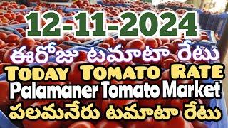 పలమనేరు 🍅🍅🍅టమాటో మార్కెట్ ధరలు 12-11-2024 ||ఈ రోజు టమోటా ధర Palamaner Market||ckgowthamvlogs