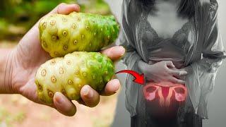 नोनी फल के बारे में ऐसी गुप्त Secret बाते कभी नहीं सुनी होगी | Noni fruit | Morinda Citrifolia