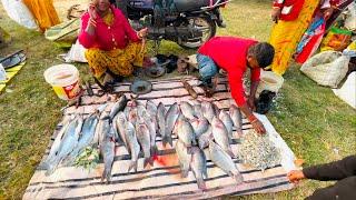 ￼ओरमांझी कुच्चू बाजार | Ormanjhi Kuchu Market | Kuchu Bazar | Kuchu Bazar 2024