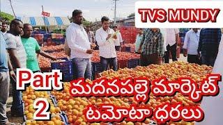 21-11-24 Madanapalle Tomato Market price Today || Today Tomato Market Rate in Madanapalle