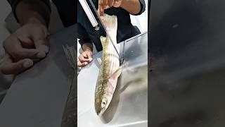 #New style #fish cutting #short video ❤️❤️