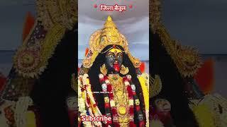 Betul jila maa kali Sitara mandal Tikari Betul || 2024 || बैतूल नगर की माता काली सितारा मंडल टिकारी