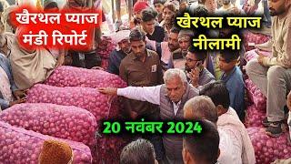 20 नवंबर 2024 खैरथल अलवर प्याज नीलामी | onion report Today khairthal Alwar mandi rajasthan