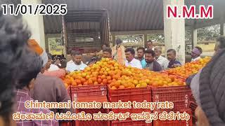 Live Chintamani today tomato rate 11/01/2025 ಚಿಂತಾಮಣಿ ಟಮೋಟ ಮಾರ್ಕೆಟ್ ಇವತ್ತಿನ ಬೆಲೆಗಳು..?