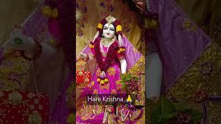 Hare Krishna 🙏