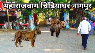 Maharaj Bagh Zoo Nagpur | महाराज बाग प्राणी संग्रहालय | Nagpur Maharashtra