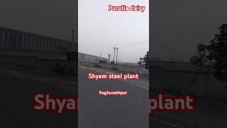 Raghunathpur shyam steel plant..purulia job.. project