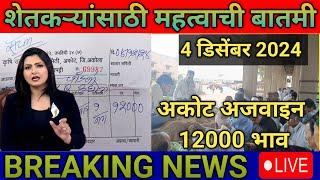 अकोट अजवाइन 12000 भाव | Akot Aajche Ajwain Bhav | today Ajwain rate |