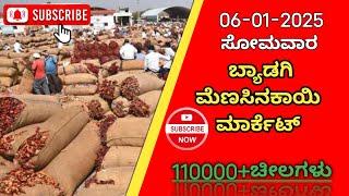 06-01-2025 ಸೋಮವಾರ ಬ್ಯಾಡಗಿ ಮೆಣಸಿನಕಾಯಿ ಮಾರ್ಕೆಟ್  | Byadagi chilli prices