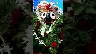 ନୀଳାଚଳ ଧାମ ଯାଇ ମୁଁ ପାରୁନି ⭕‼️⭕🛕🚩💅🪔🙏🏼🙏🏼🙏🏼🙏🏼🤱🤱 ଜୟ ଜଗନ୍ନାଥ ସ୍ବାମୀ