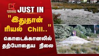 #JUSTIN | Kodaikanal Snowfall | "இதுதான் ரியல் Chill." - கொடைக்கானலில் தற்போதைய நிலை | Dindigul News