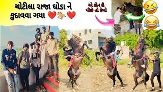 ચોટીલા રાજા ઘોડા ને કુદવવા ગયા...❤️🐎❤️ak_banna mayurkhatana8887