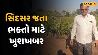 Botad News | માત્ર 1 ફૂટના છોડ પર ઉગે છે જામફળ, જાણો આ ખેડૂત કઈ પદ્ધતિથી કરે છે ખેતી | Local18