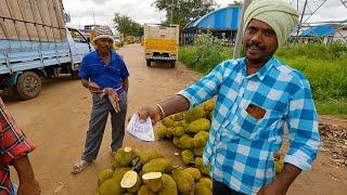 Pulivendula vendor buying jackfruits at cheap rate