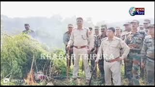 ৫২০০০ গাঁজা গাছ আগুন দিয়ে পুড়িয়ে ধ্বংস করলো বিশালগড় থানা পুলিশ