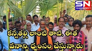 #పెద్దపల్లి కలెక్టరేట్ వద్దగౌడ సంఘాలధర్నా.సోలార్ ప్రాజెక్ట్ కోసం అధికారులు తాటి, ఈత వనాన్నిధ్వంసం#