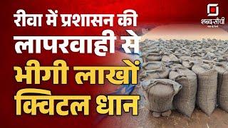 Shabd Sanchi News Bulletin | Rewa News| Mauganj News | Damoh | MP Weather 28 December