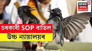 Hajo | বুলবুলি যুঁজত উচ্চ ন্যায়ালয়ৰ চৰকাৰী SOP বাতিলৰ পাছতে দুঃখিত হৈ পৰিছে হাজোবাসী | N18V