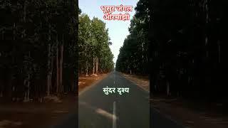 भूसुर जंगल ओरमांझी/Bhusur Forest Ormanjhi Ranchi