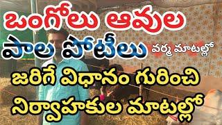 రాష్ట్రస్థాయి ఒంగోలు పుంగనూరు గిర్ ఆవుల అందాల పోటీలు & ఒంగోలు పాల పోటీ