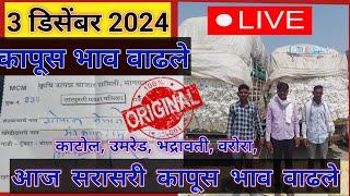 ⭕ 3 डिसेंबर 2024| सावनेर कापूस बाजार भाव आजचे|kapus bajar bhav today